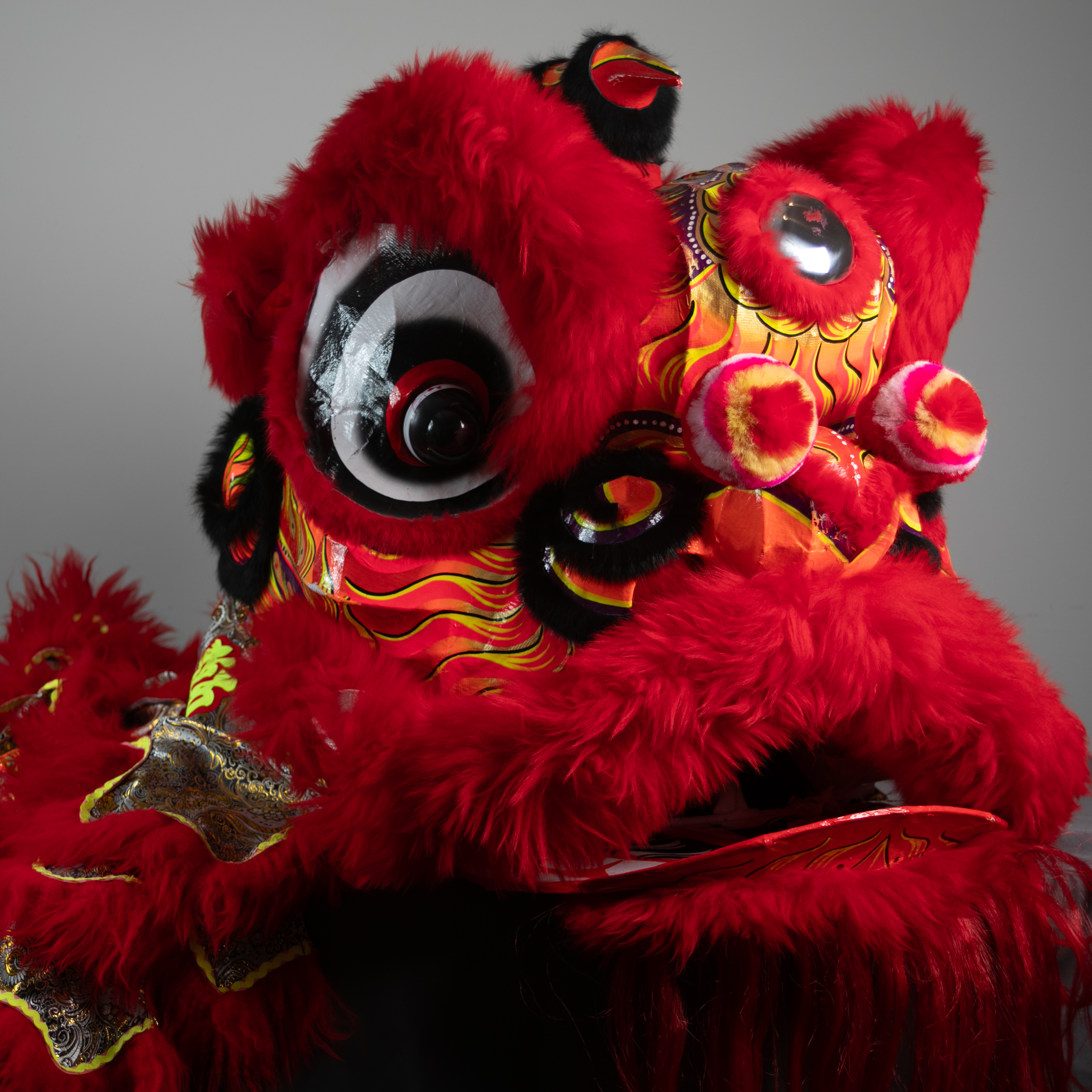 lion picture C Red/Gold + Black